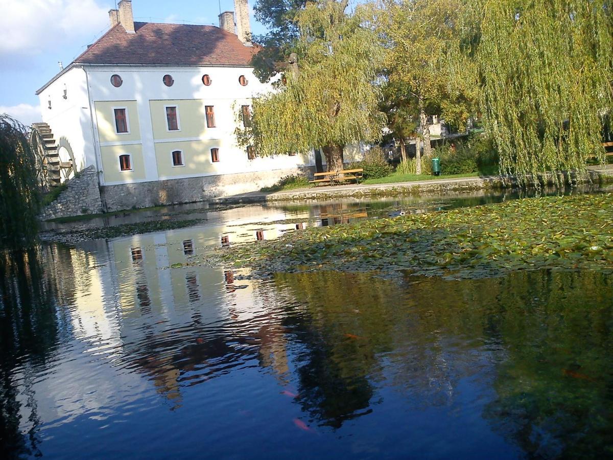 Villa Elisa Вонярцвашхедь Экстерьер фото