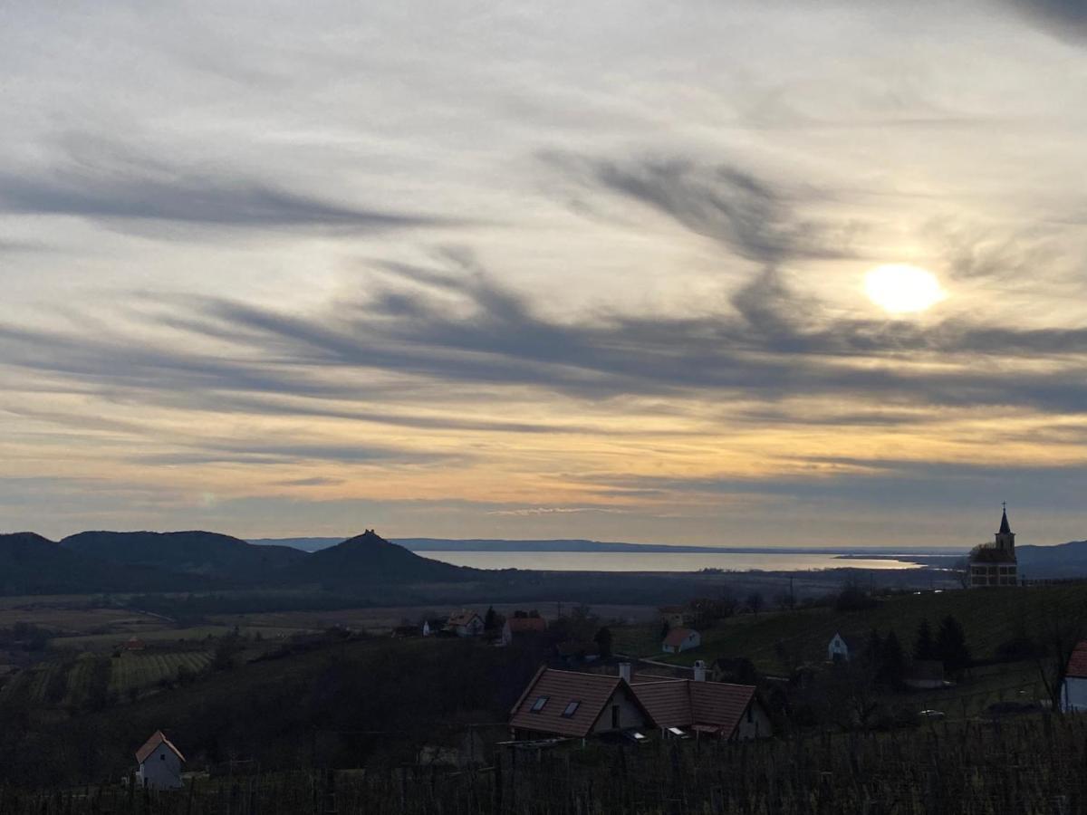 Villa Elisa Вонярцвашхедь Экстерьер фото